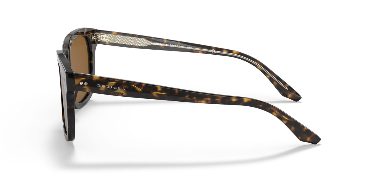 502633 - Havana - Brown