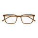 006 - Brown - Transparent