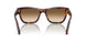 24/51 - Tortoise - Clear Gradient Brown