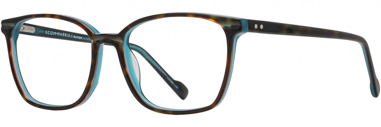 4 - Tortoise / Teal