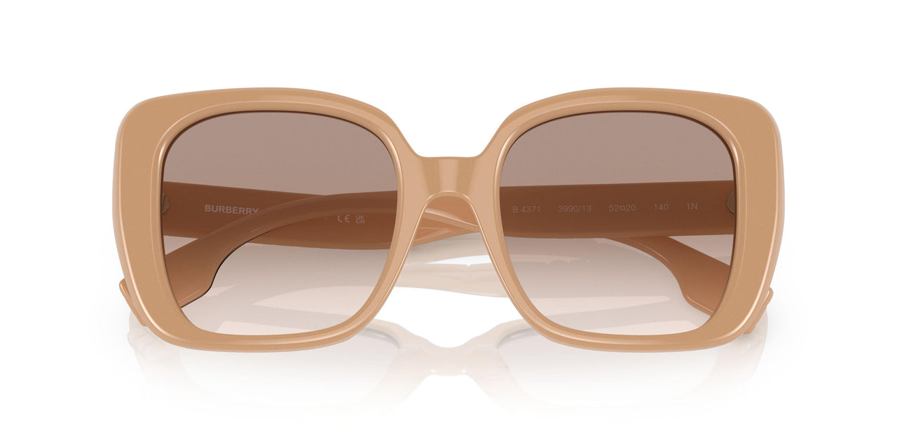 399013 - Brown - Brown Gradient