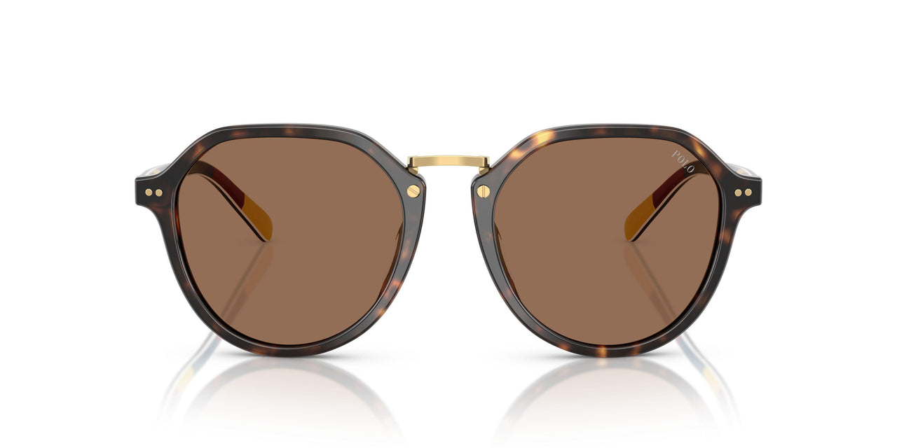 621273 - Tortoise - Dark Brown