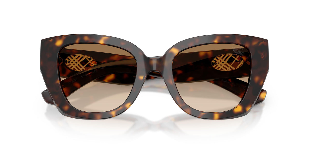 300289 - Brown - Brown Gradient