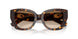 300289 - Brown - Brown Gradient