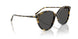 177887 - Tortoise - Grey