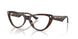 5002 - Tortoise