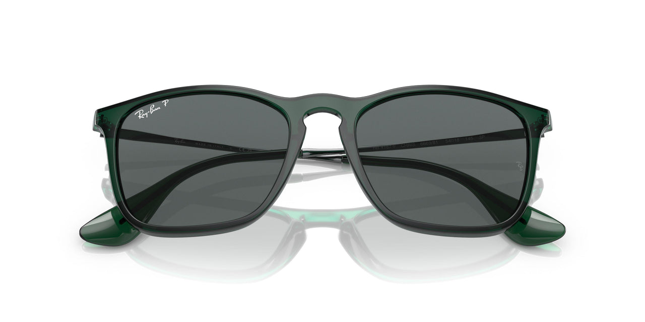 666381 - Green - Dark Grey Polar