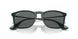 666381 - Green - Dark Grey Polar