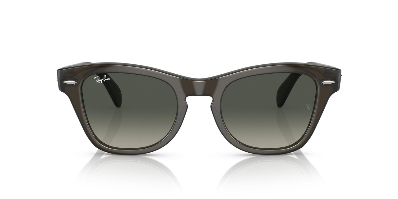 664271 - Green - Grey Gradient