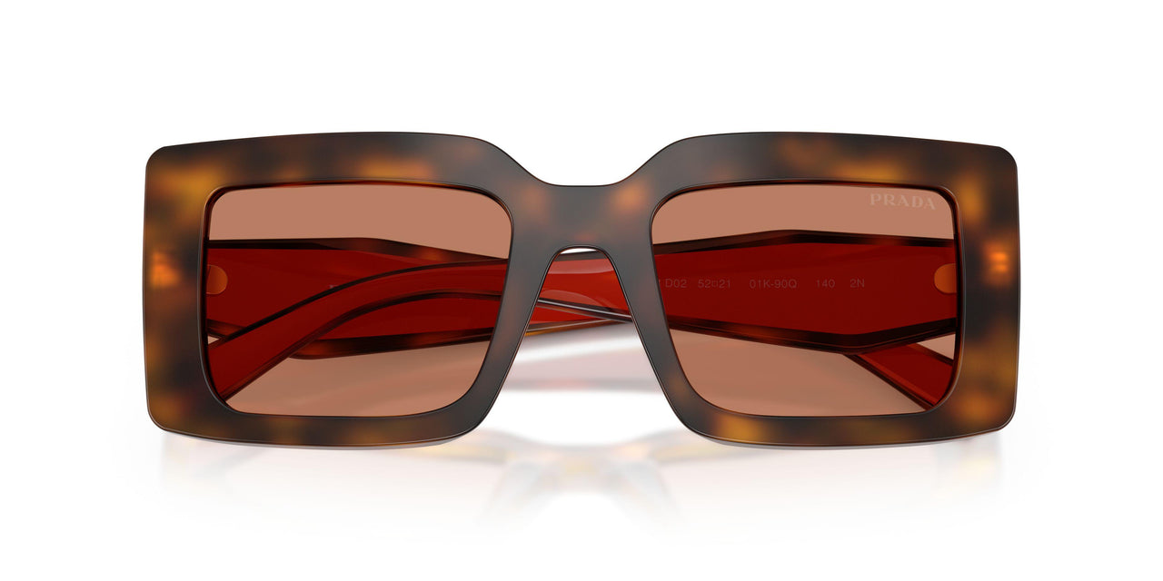 01K90Q - Tortoise - Brown