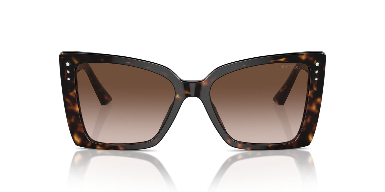 500213 - Tortoise - Gradient Brown