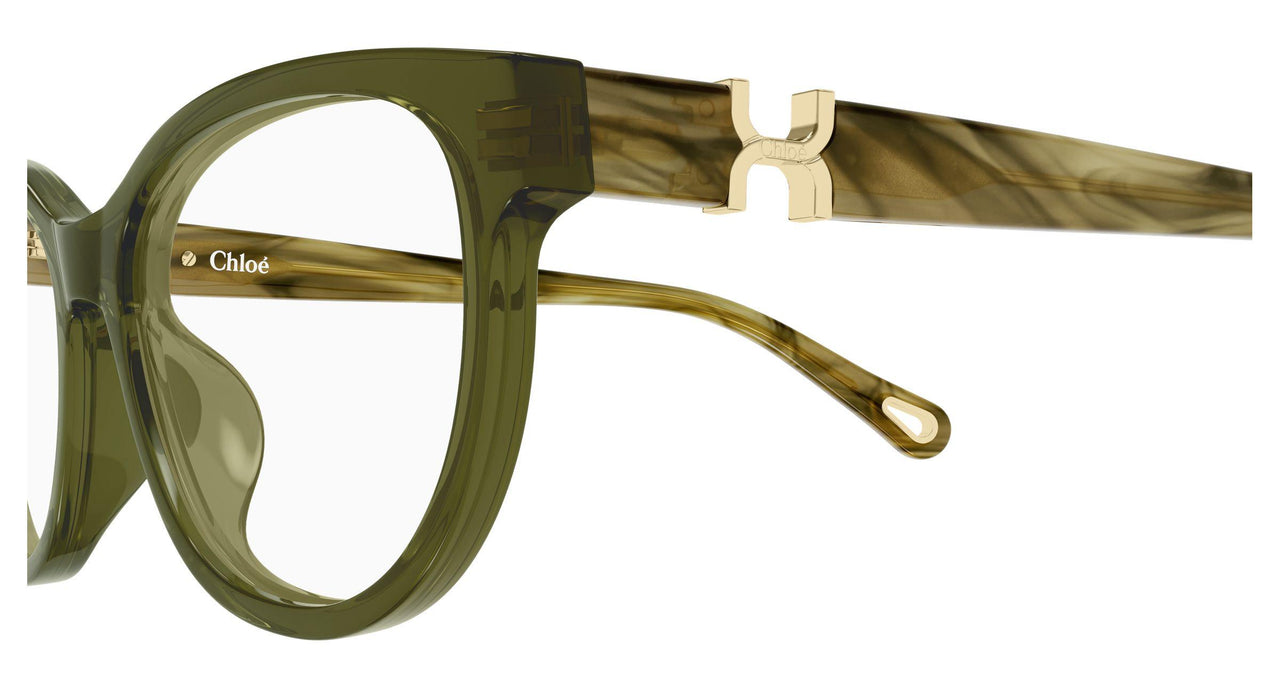 010 - Green/Havana - Transparent