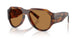306373 - Tortoise - Bronze