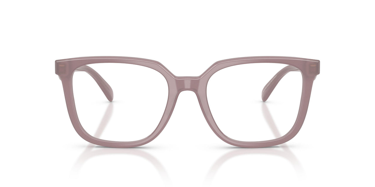 5495 - Brown