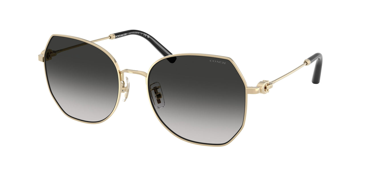 Coach Cad79 7175 Sunglasses