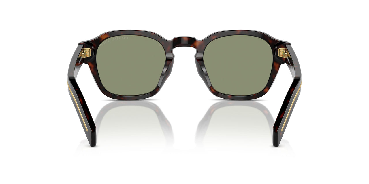 17N20G - Havana - Polarized Green