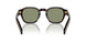 17N20G - Havana - Polarized Green