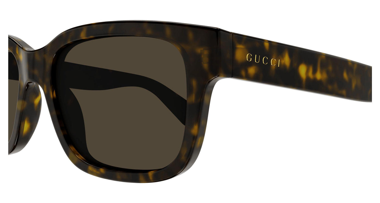 002 - Havana - Brown
