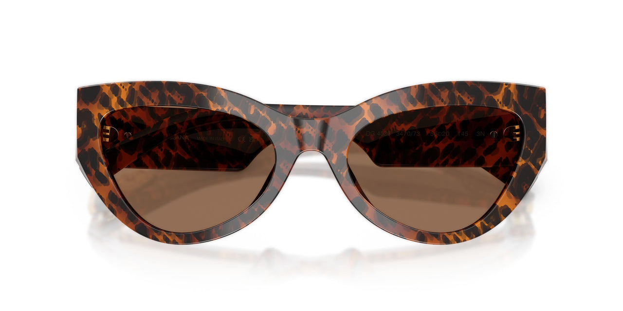 347073 - Brown - Dark Brown