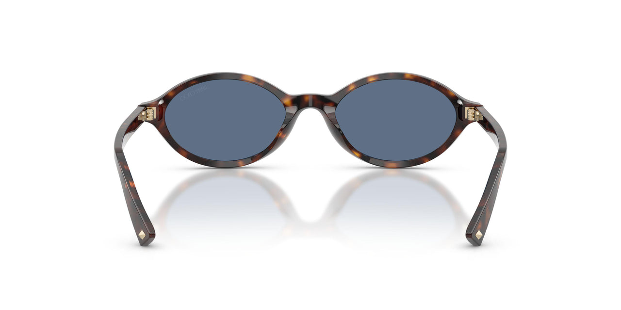 500280 - Tortoise - Blue