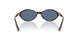 500280 - Tortoise - Blue