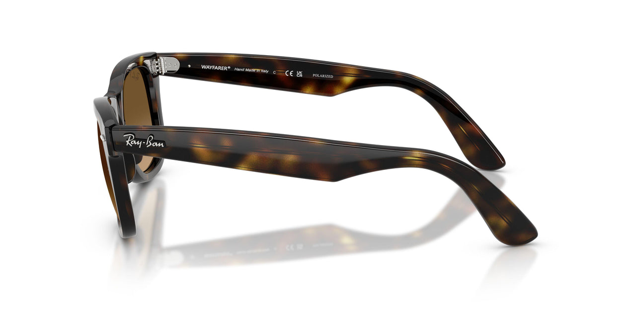 710/M2 - Tortoise - Polarized Brown Gradient
