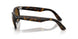 710/M2 - Tortoise - Polarized Brown Gradient