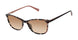 Ted Baker TWS302 Eyeglasses