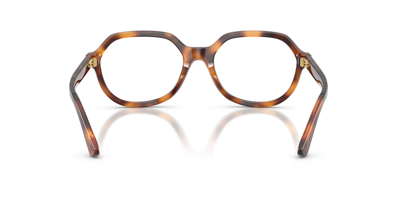 6355 - Tortoise