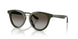 640013 - Green - Grey Gradient Brown
