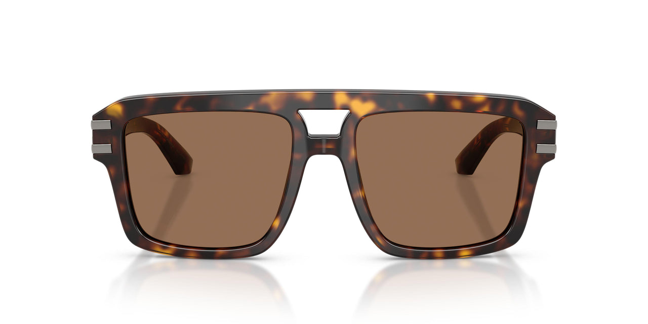 502/73 - Tortoise - Dark Brown