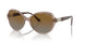 2940T5 - Brown - Polar Grey Gradient Brown