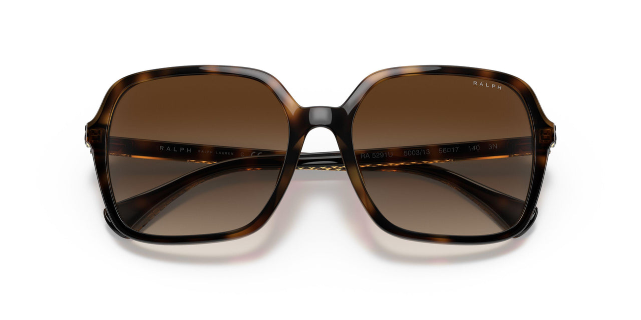 500313 - Havana - Gradient Brown