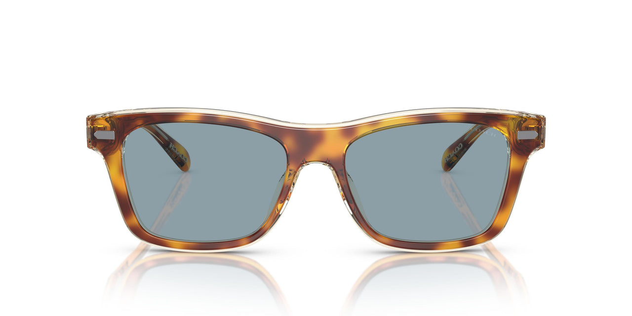 575672 - Tortoise - Light Blue Solid