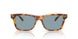 575672 - Tortoise - Light Blue Solid
