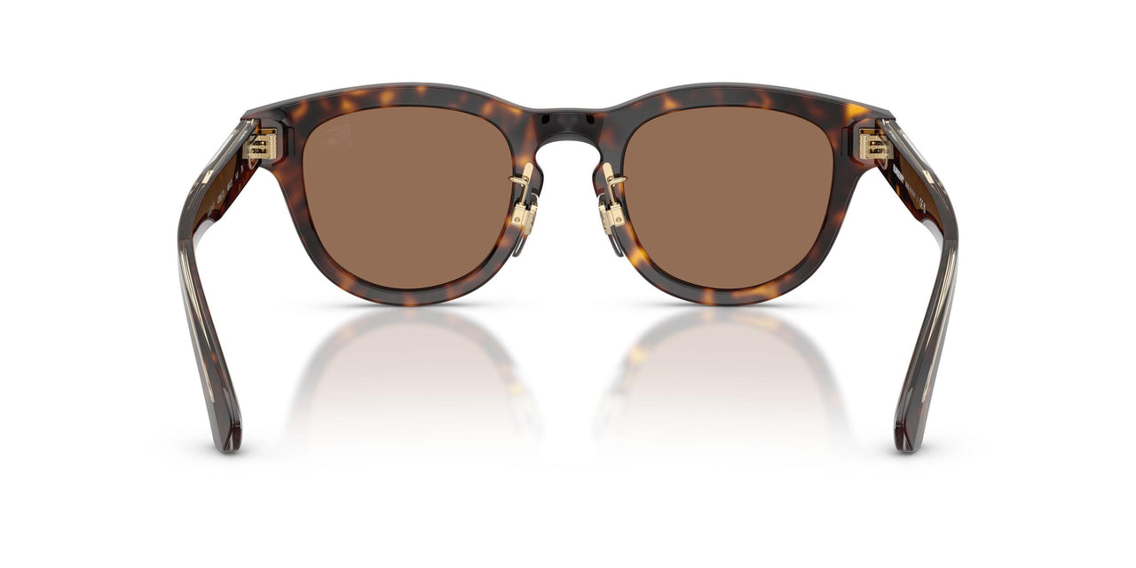 420573 - Brown - Dark Brown