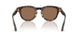 420573 - Brown - Dark Brown
