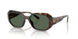 300671 - Tortoise - Green Solid