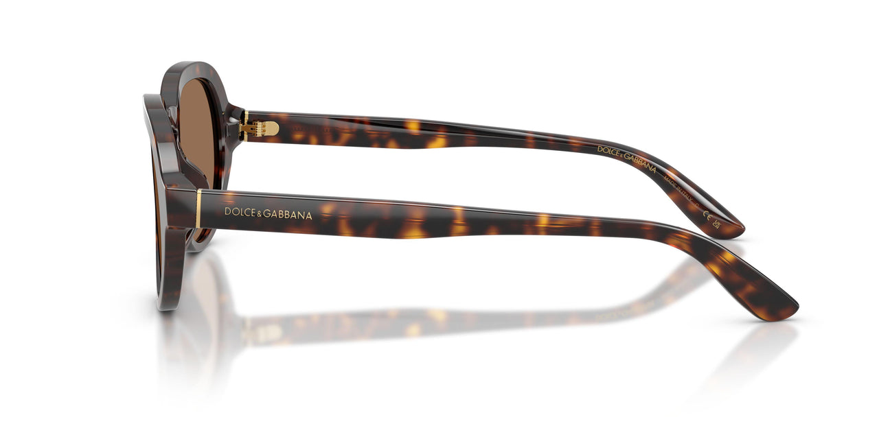 502/73 - Tortoise - Dark Brown