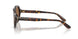 502/73 - Tortoise - Dark Brown