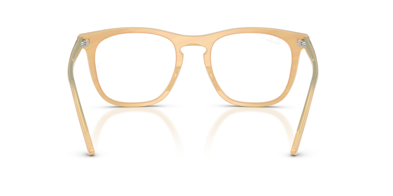 8383 - Brown - Clear