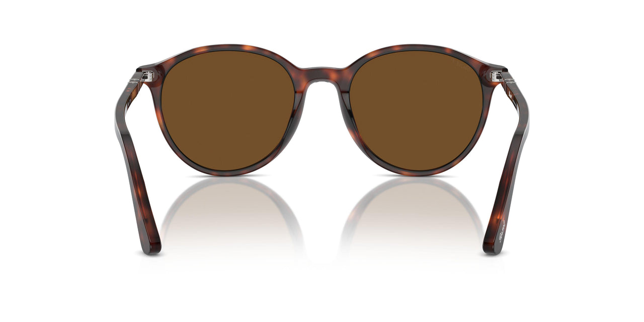 24/57 - Tortoise - Polar Brown