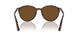 24/57 - Tortoise - Polar Brown