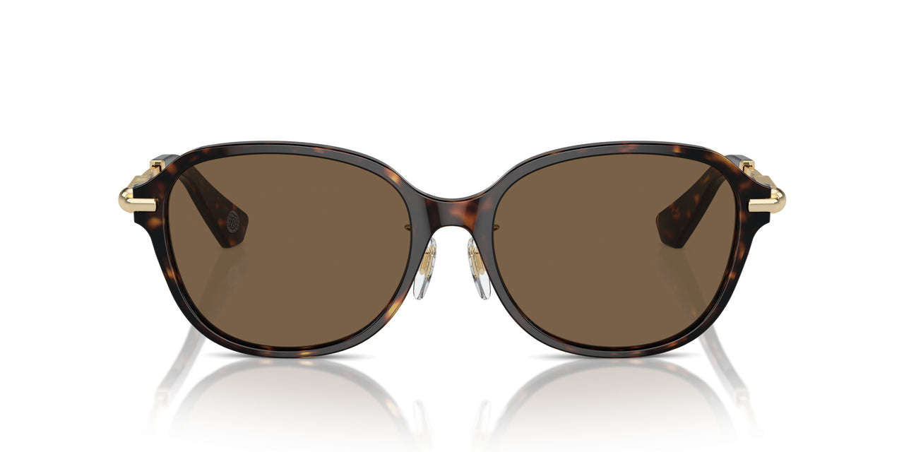 300273 - Brown - Dark Brown