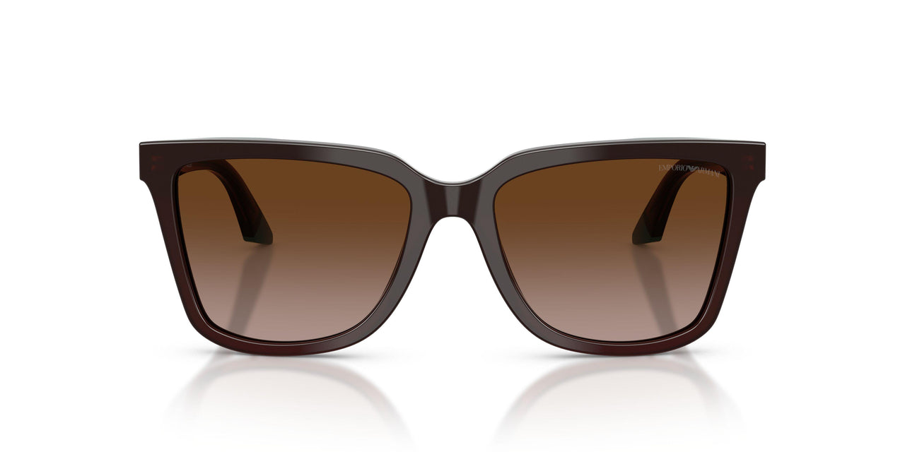 631813 - Brown - Brown Gradient