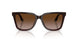 631813 - Brown - Brown Gradient