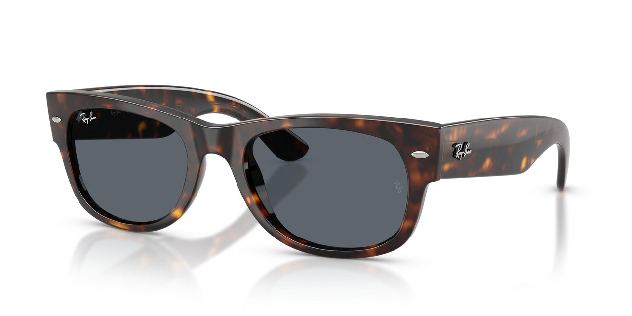902/R5 - Tortoise - Blue