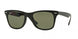 Ray-Ban Wayfarer Liteforce 4195F Sunglasses