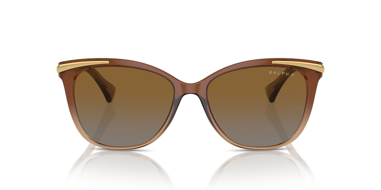 6133T5 - Beige - Polar Gradient Brown