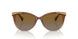 6133T5 - Beige - Polar Gradient Brown